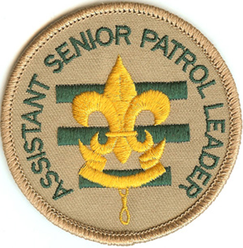 Bsa Assistant Scoutmaster Training